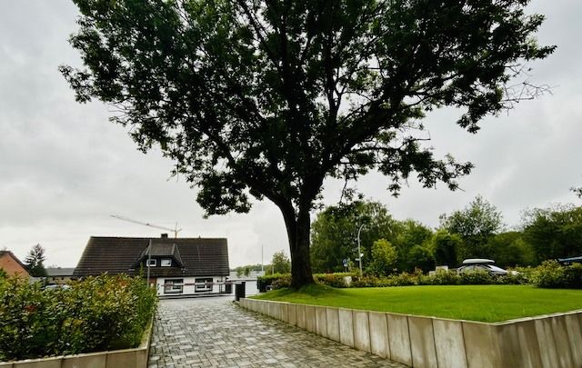 Gepflegter Eingangsbereich mit Baum